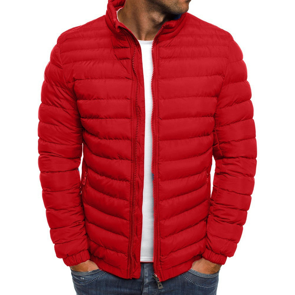 Herren Leichte Daunenjacke mit Stehkragen – Steppjacke für Herbst & Winter