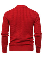 Herren Poloshirt-Pullover mit strukturierter Strickoptik und langen Ärmeln