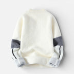 Herren Strickpullover aus Wollmischung mit Rundhalsausschnitt