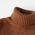 Herren Strickpullover mit Rollkragen