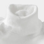 Herren Rollkragenpullover aus Wolle